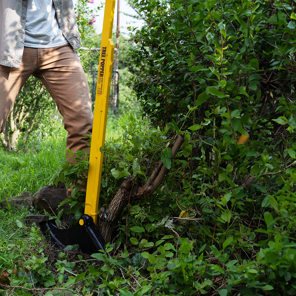 Tree Popper – TreePopper